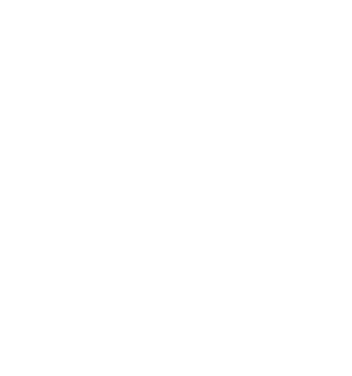 Dauergrabpflege